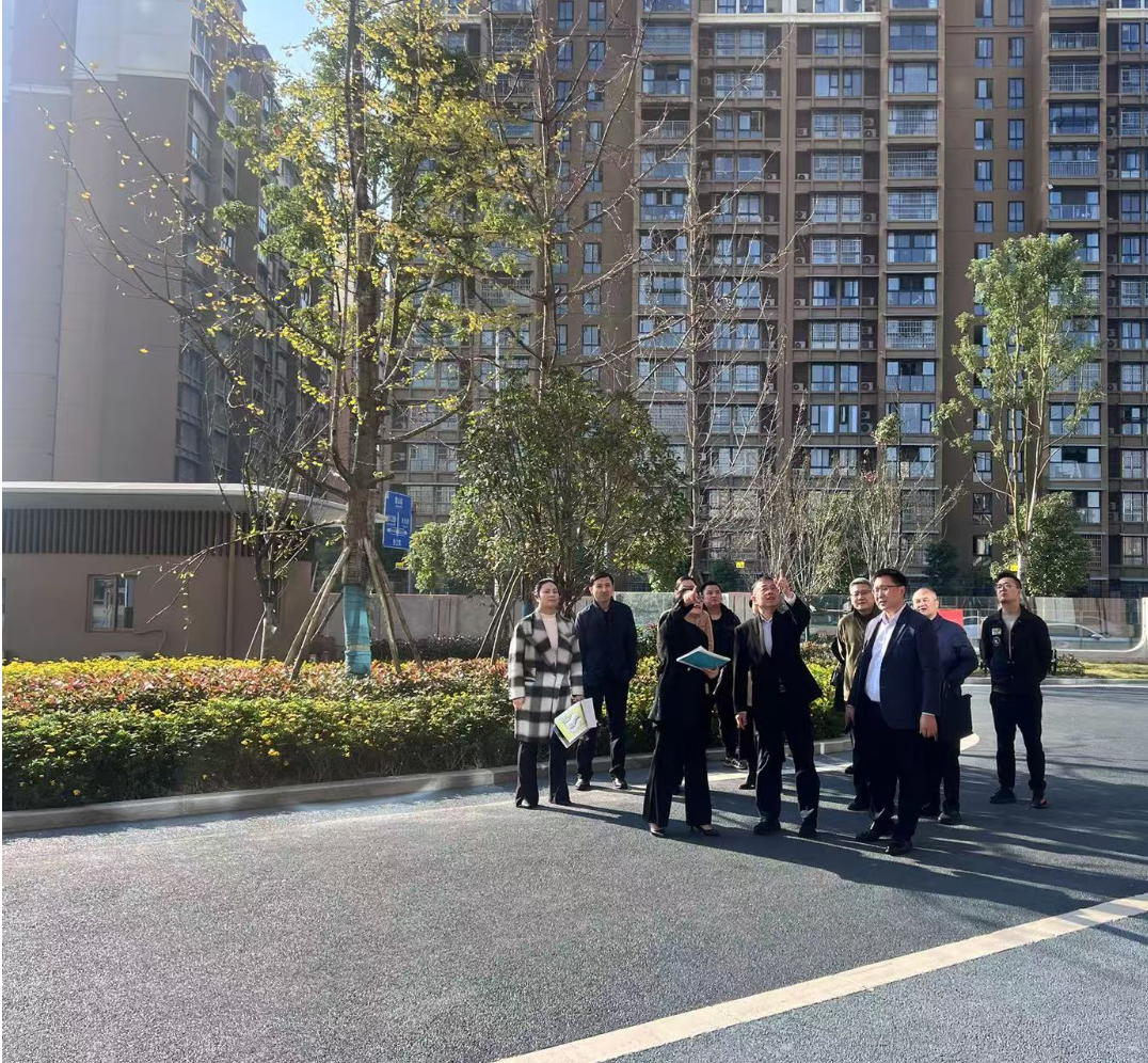 副市長徐春龍調(diào)研德陽市老年養(yǎng)護(hù)院、德陽市民政精神衛(wèi)生福利機(jī)構(gòu)項(xiàng)目建設(shè)工作